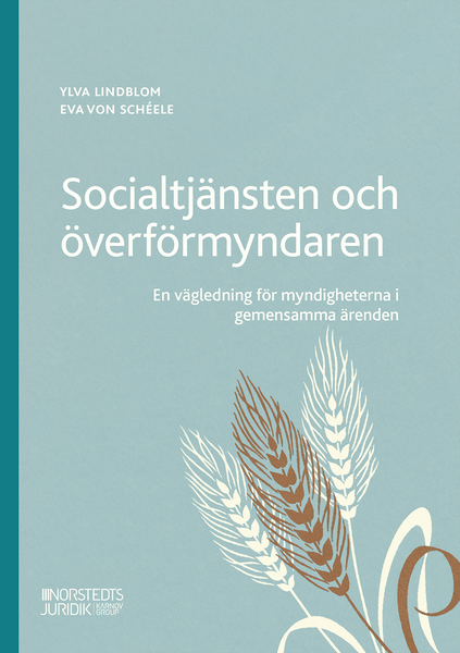 Socialtjänsten och överförmyndaren