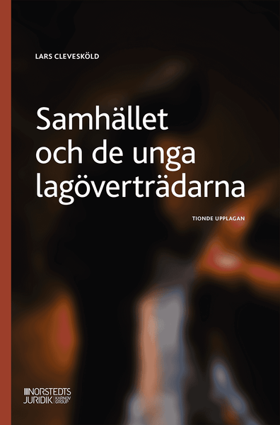 Samhället och de unga lagöverträdarna